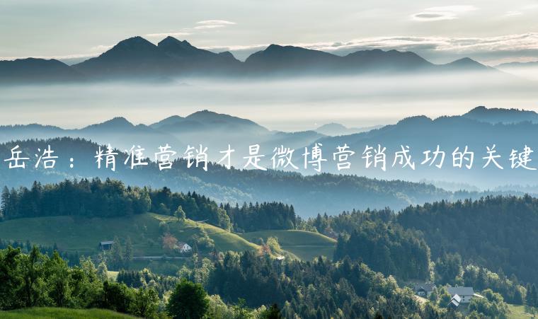 岳浩：精準(zhǔn)營銷才是微博營銷成功的關(guān)鍵